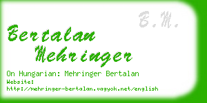 bertalan mehringer business card